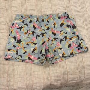 Patagonia Baggies Men’s XXL Swim Shorts Blue Green Spoonbill Bird Print Lined